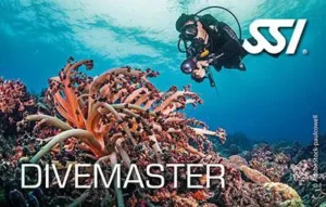 Nautica PRO / Kursy dla profesjonalistów / Instruktor i Dive master / Divemaster