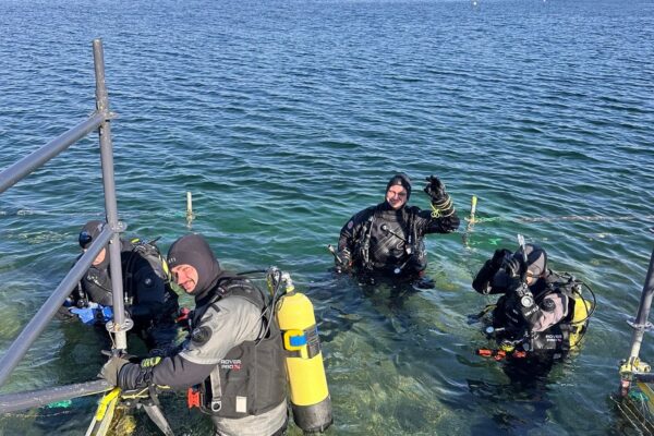 nautica_pro_poznan_11 Szkolenia Divemaster, Instruktor, Open Water Instructor, Instruktor Trainer - oferta szkoleń profesjonalnych Nautica Pro
